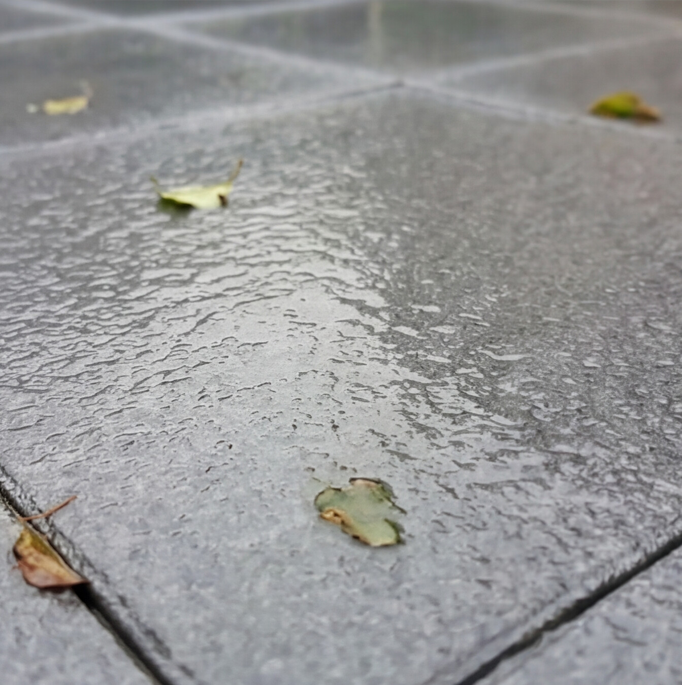 #1 tuintegels voegen